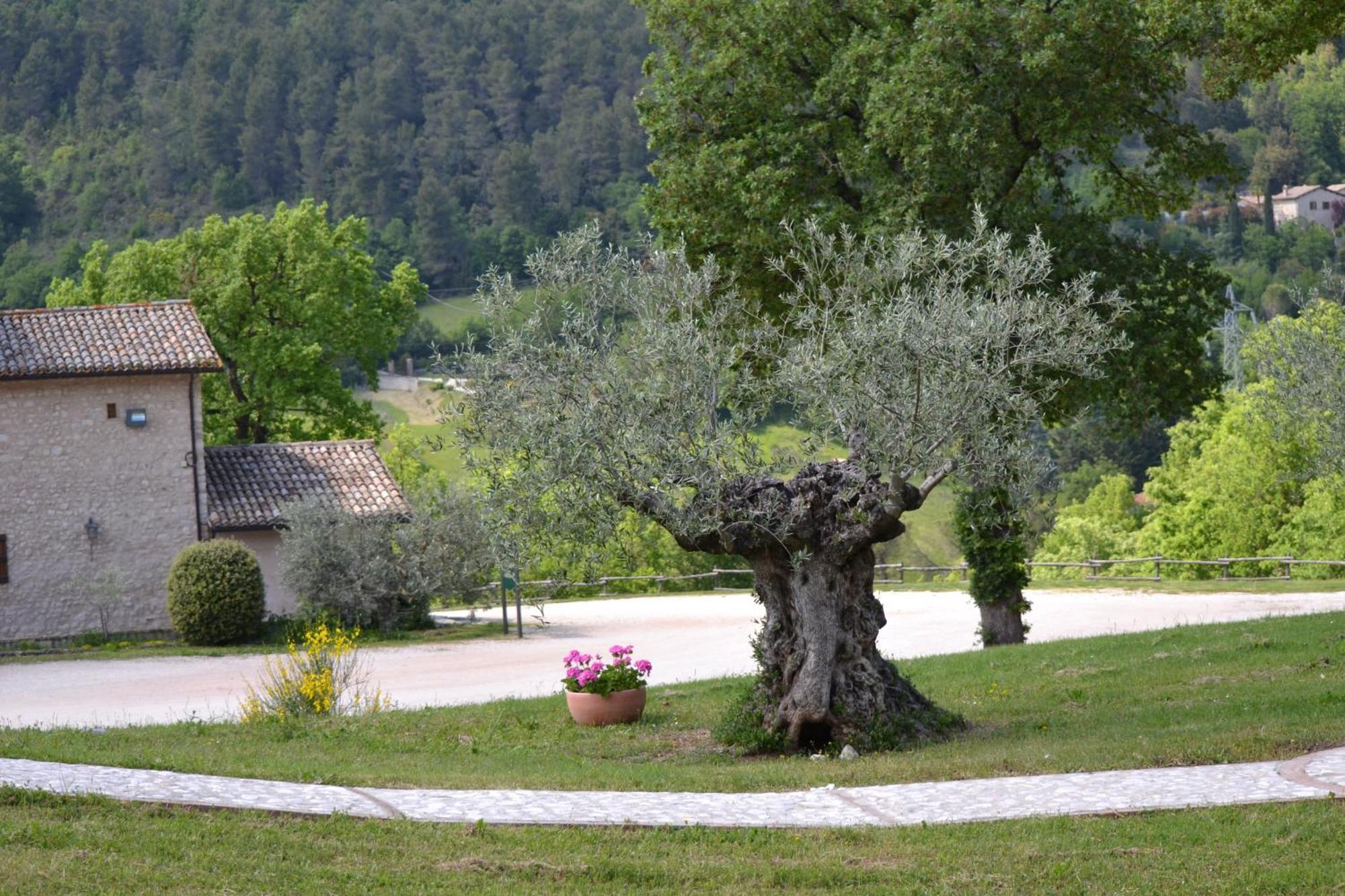 Valle Rosa Spoleto Luaran gambar